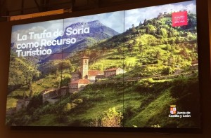 La trufa de Soria como recurso turístico